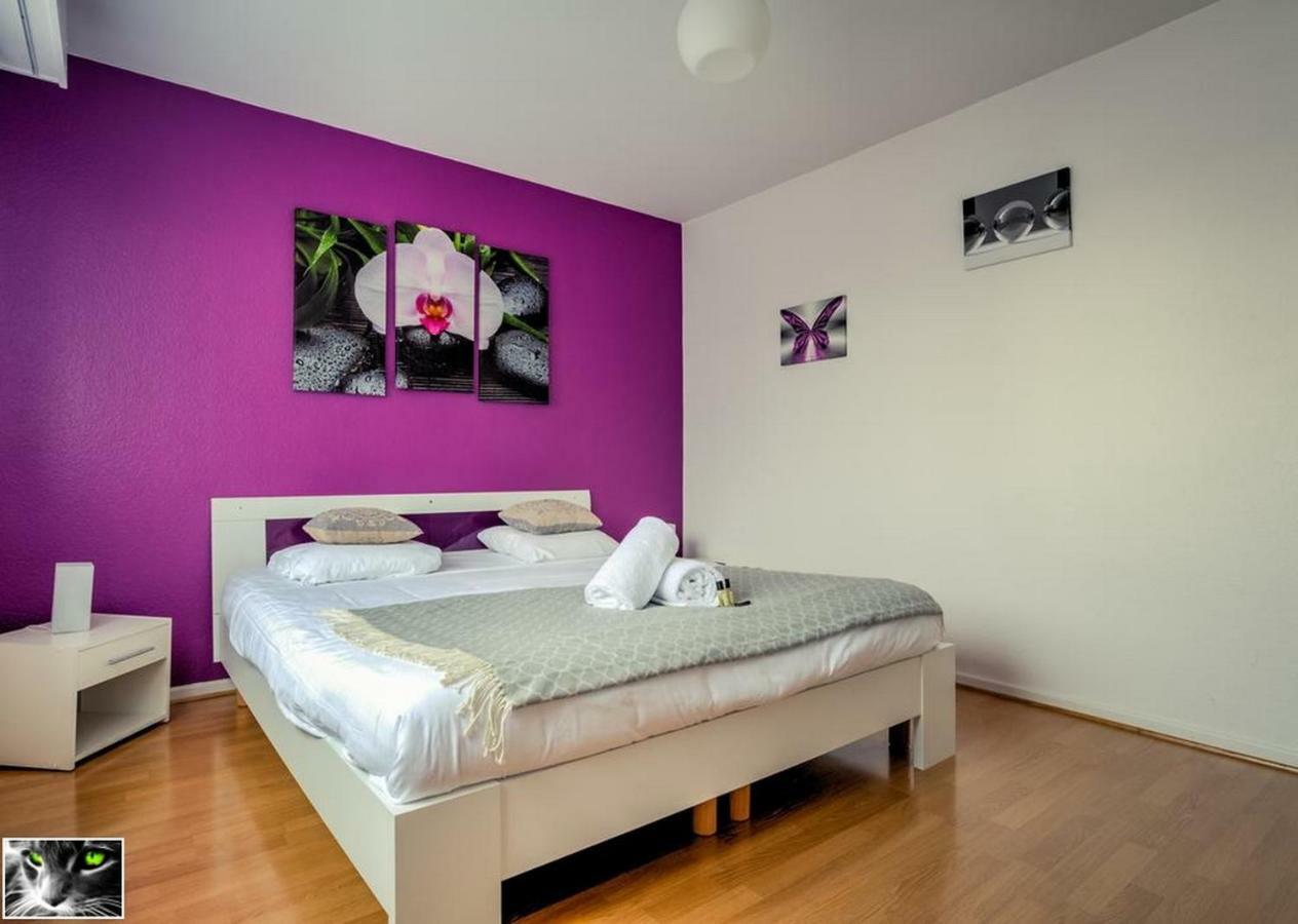 Appartement Spacieux Schiltigheim Extérieur photo