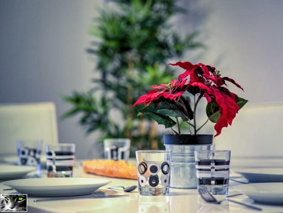 Appartement Spacieux Schiltigheim Extérieur photo