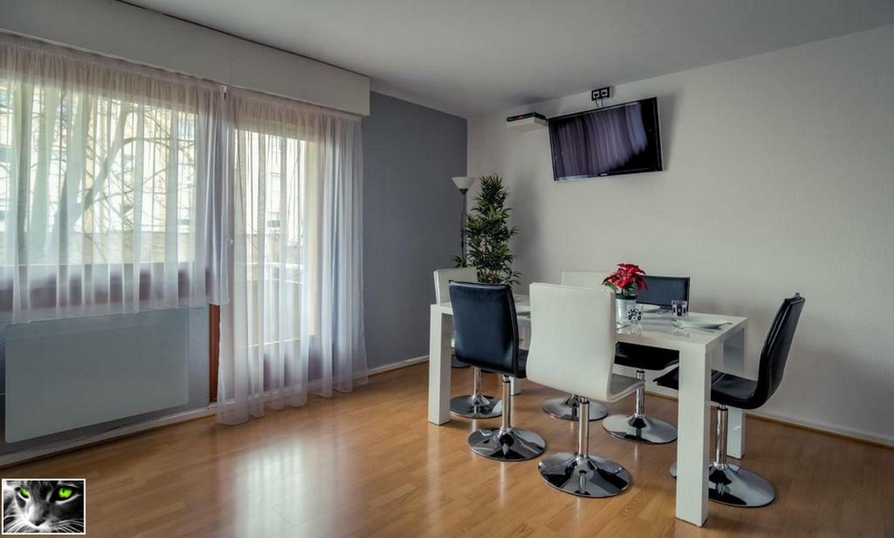 Appartement Spacieux Schiltigheim Extérieur photo
