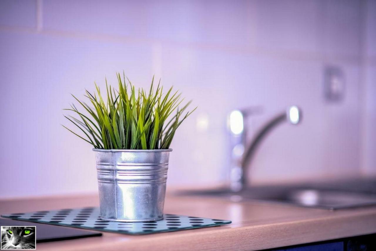 Appartement Spacieux Schiltigheim Extérieur photo
