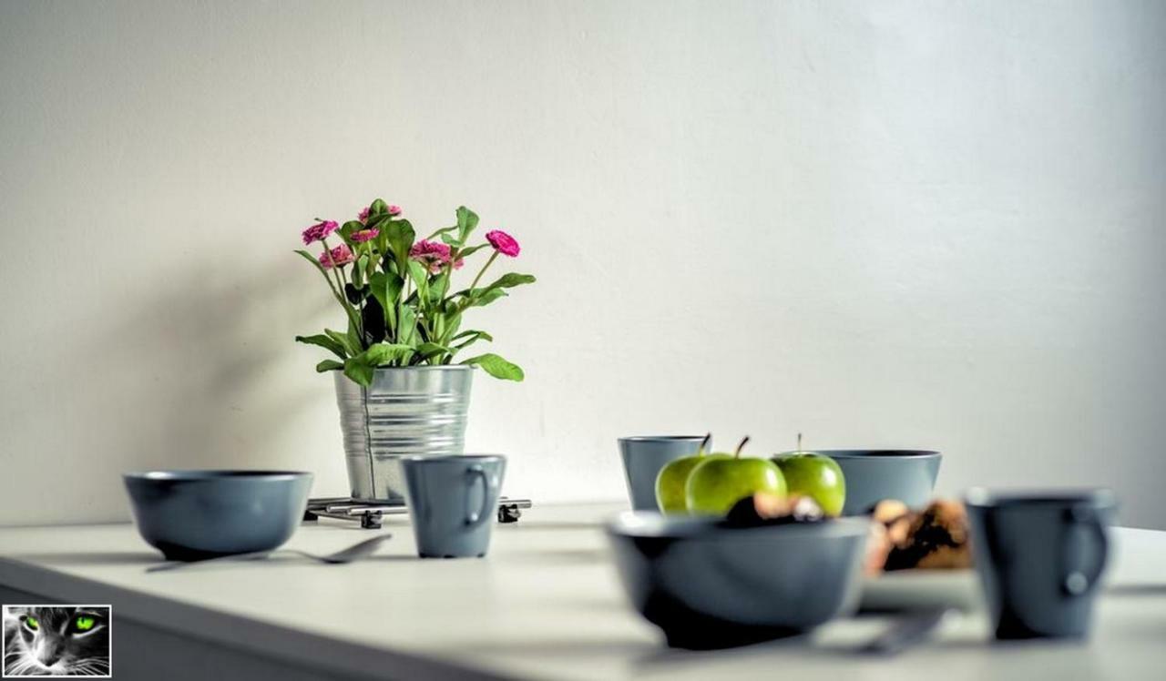 Appartement Spacieux Schiltigheim Extérieur photo