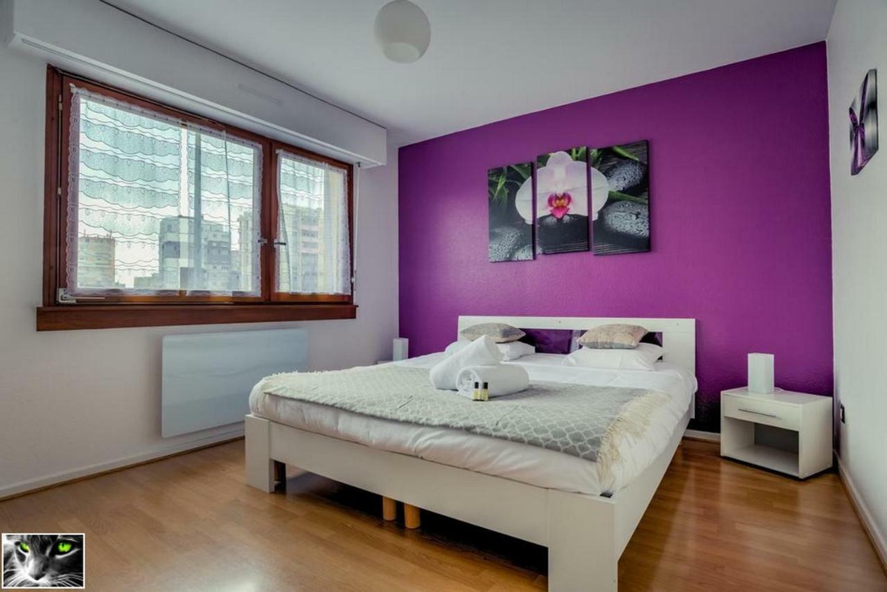 Appartement Spacieux Schiltigheim Extérieur photo